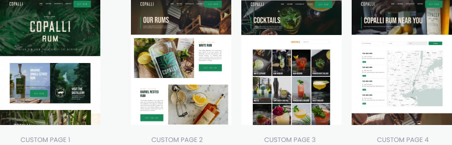 Pricing - Ericks Webs Design