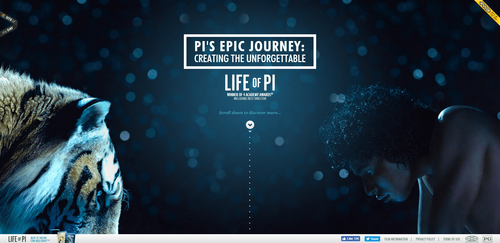 Emphasis On Landing Pages